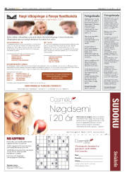 Síða 20