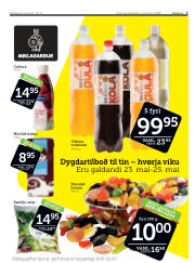 Síða 3