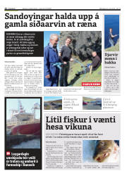 Síða 12