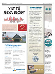 Síða 22