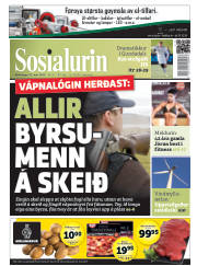 Síða 1