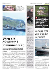 Síða 13