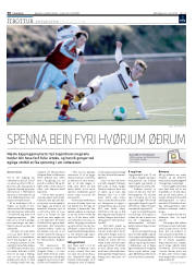 Síða 30