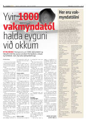 Síða 6