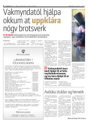 Síða 8