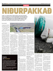 Síða 10