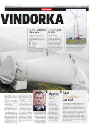 Síða 11