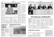 Síða 5