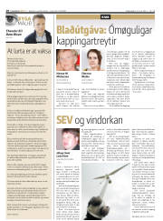 Síða 18