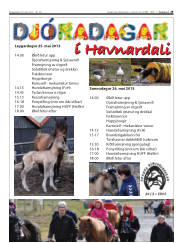 Síða 29