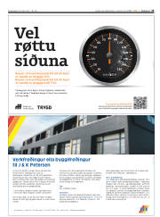 Síða 33