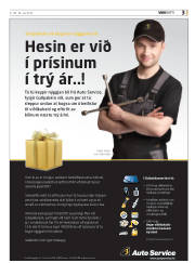 Síða 43