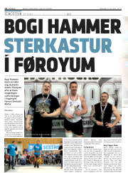 Síða 14
