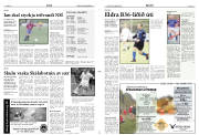 Síða 11