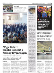 Síða 25