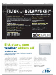 Síða 10