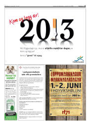 Síða 25