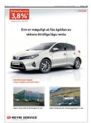 Síða 11