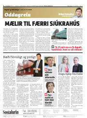 Síða 2