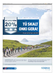 Síða 3