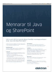 Síða 5