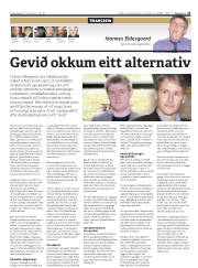 Síða 15