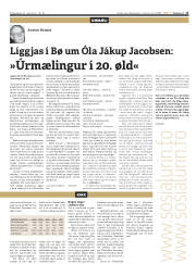 Síða 17