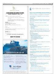 Síða 21