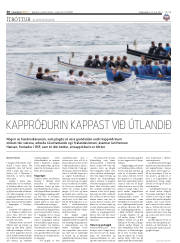 Síða 30