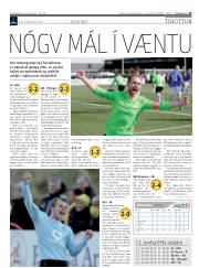 Síða 31