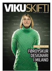 Síða 33