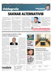Síða 2