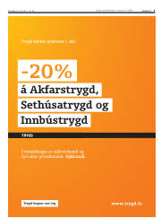 Síða 5