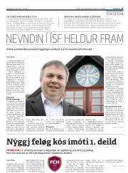 Síða 15
