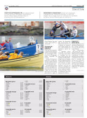 Síða 17