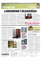Síða 2