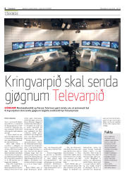 Síða 6