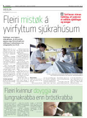 Síða 8