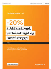 Síða 11