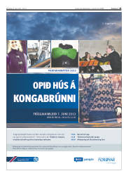 Síða 25