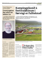 Síða 29