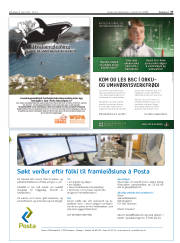 Síða 37