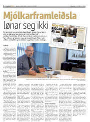Síða 6