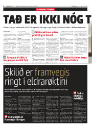 Síða 8