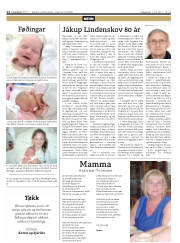 Síða 12