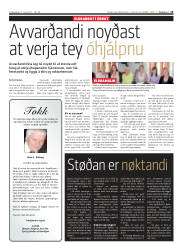 Síða 13