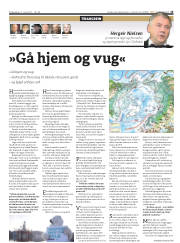 Síða 15