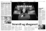 Síða 8