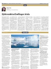 Síða 16