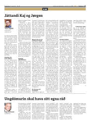 Síða 17